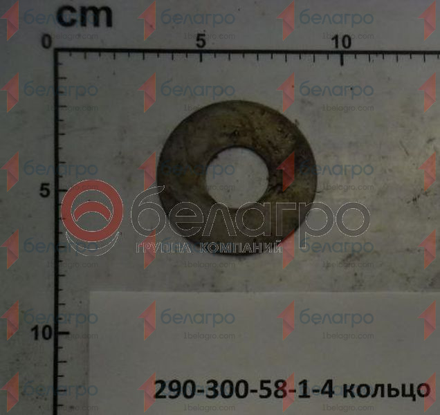 290-300-58-1-4 Кольцо уплотнительное, Беларусь-2
